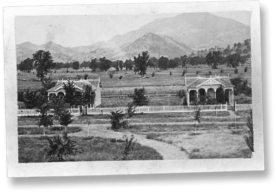 about-desktop-cottage-grounds-CEE733D6-FB98-4961-BECF-4DF885C223D1